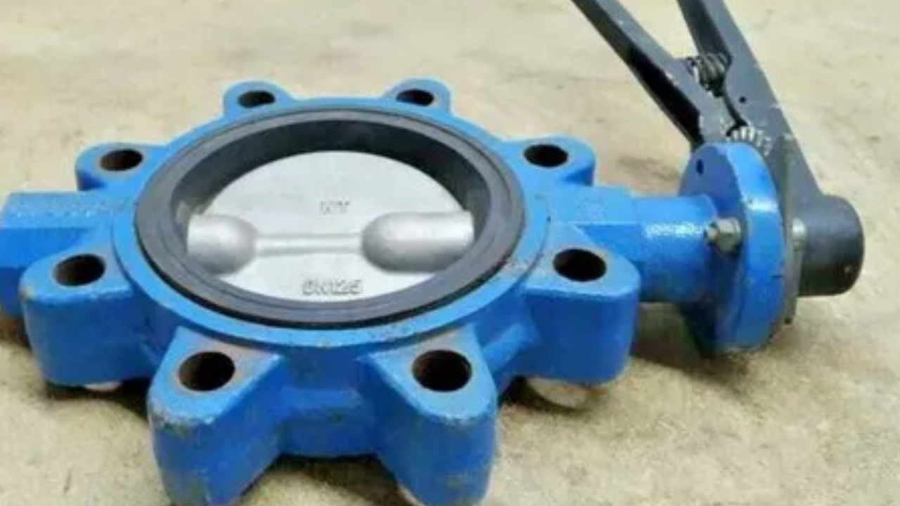 How Are Lug Butterfly Valves Beneficial?
